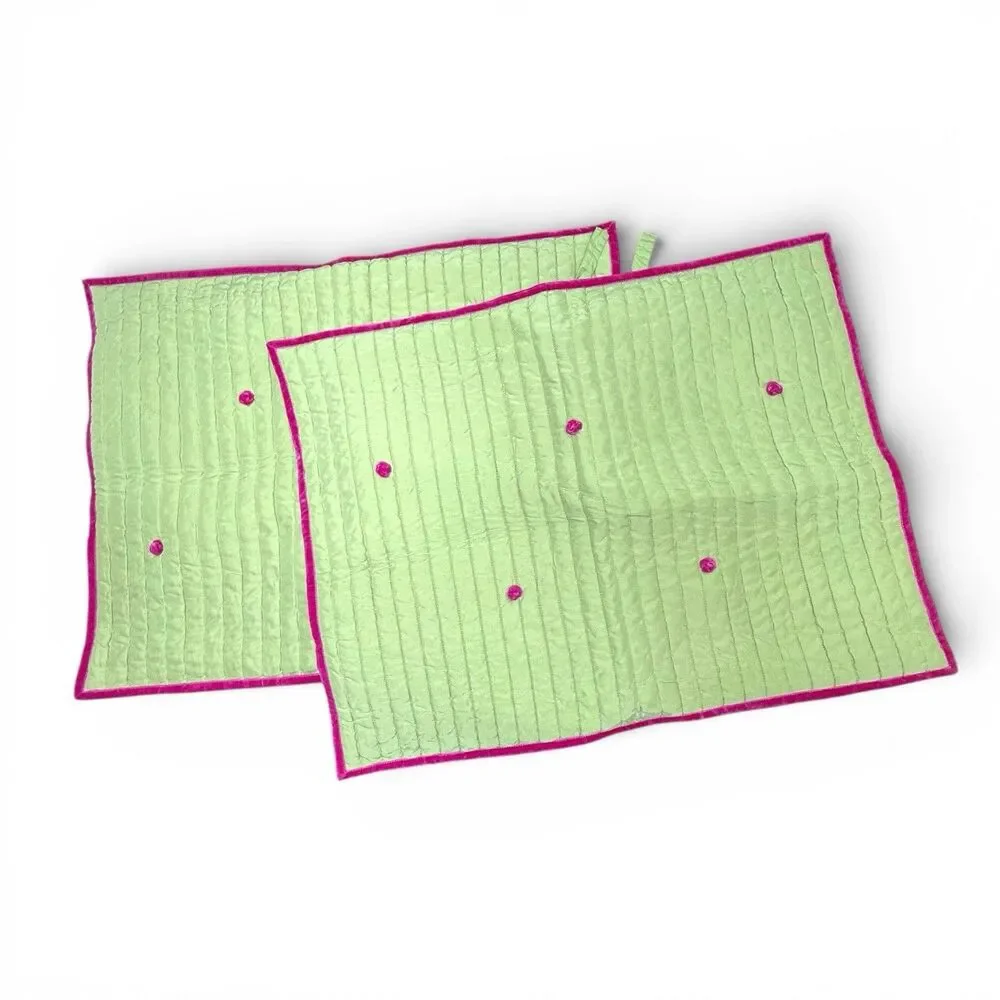 Lot of 2 Pottery Barn Silk Cotton Quilted Channel Stitch Shams Green Pink Girly
